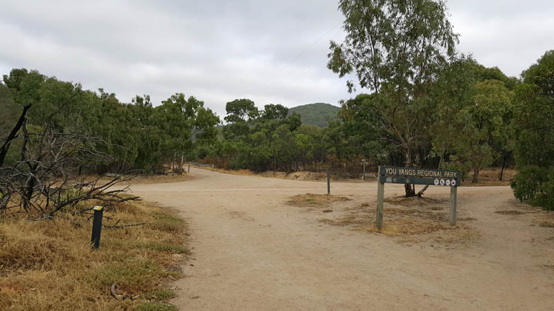 you-yangs-toynes-road