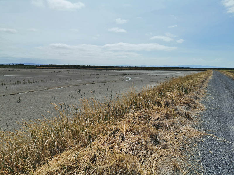 Piako Flood plain